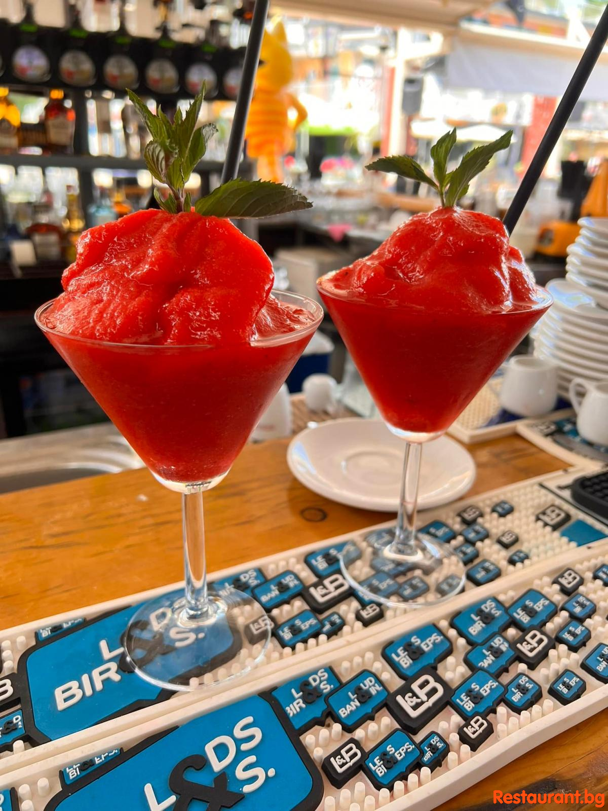 Restaurant &amp; Bar THE FAT CAT Sunny Beach