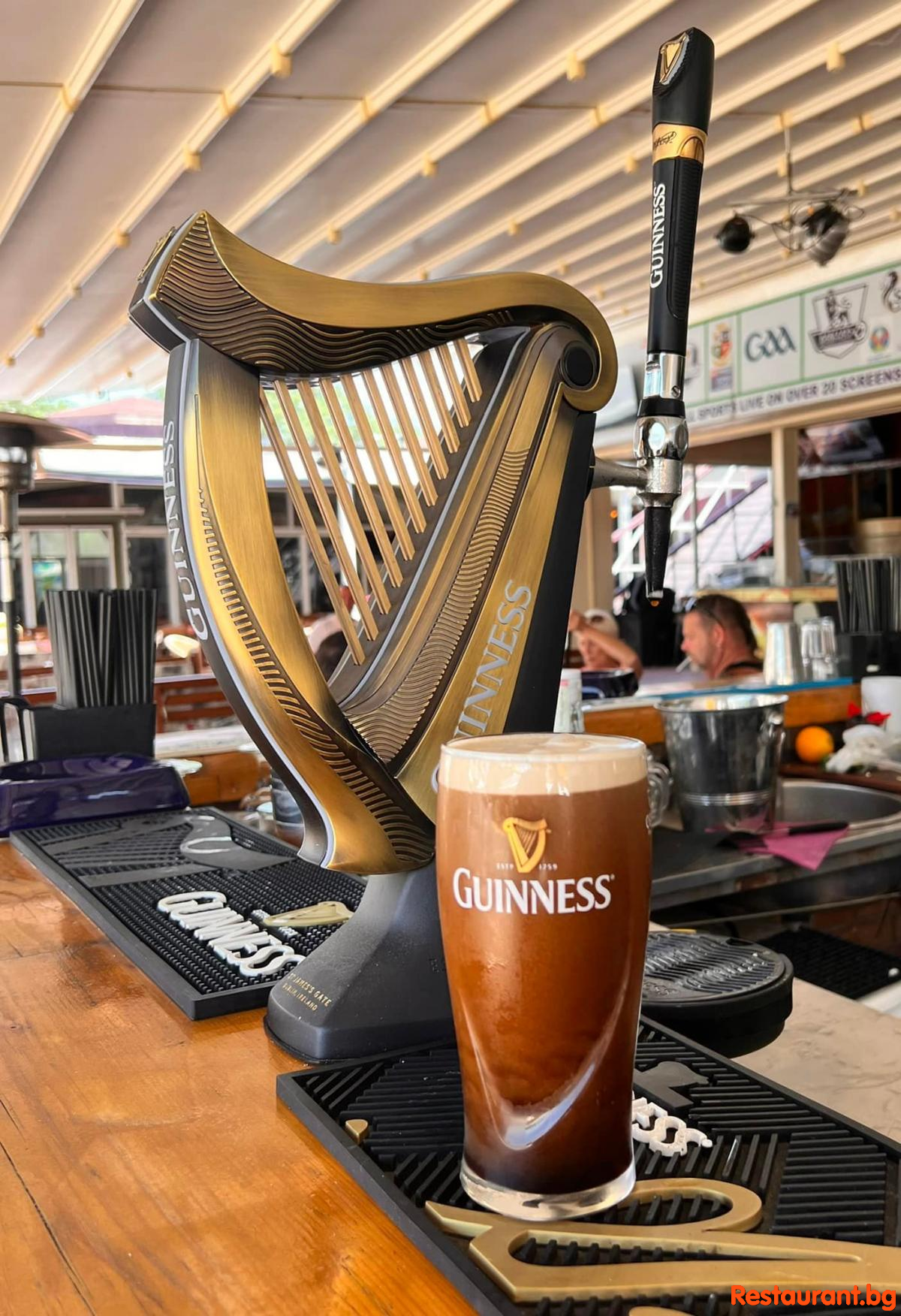 Guinness Beer