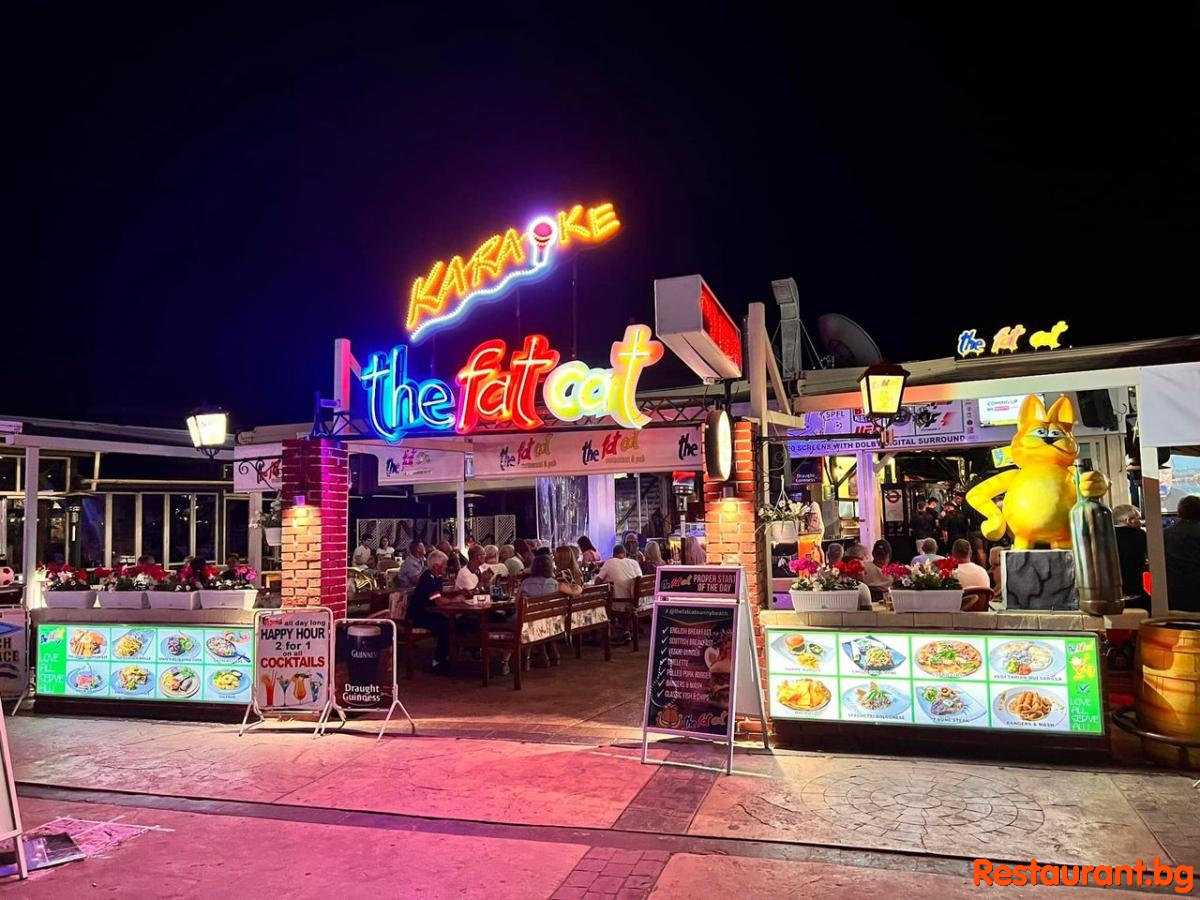 THE FAT CAT by Night