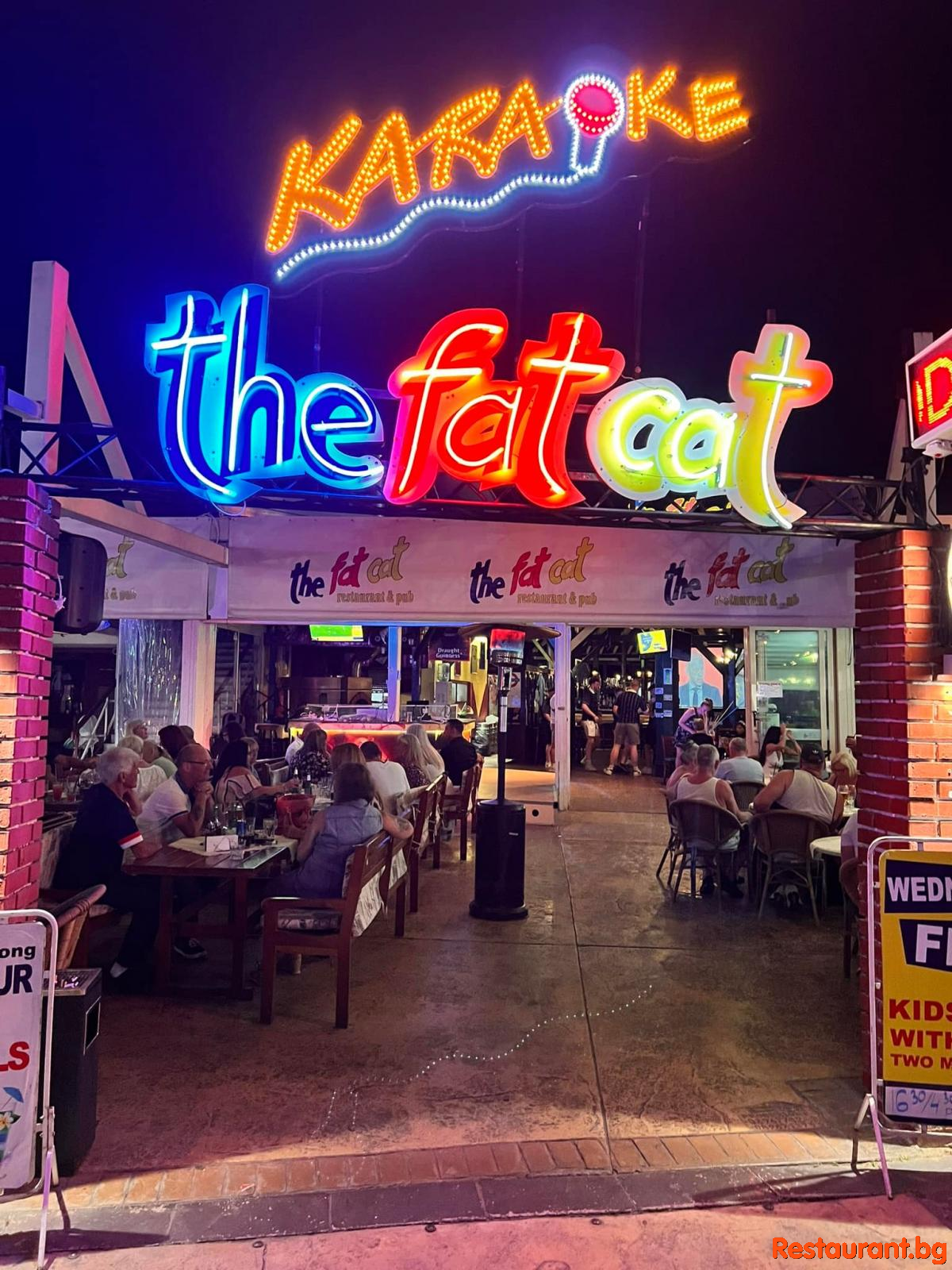 THE FAT CAT by Night