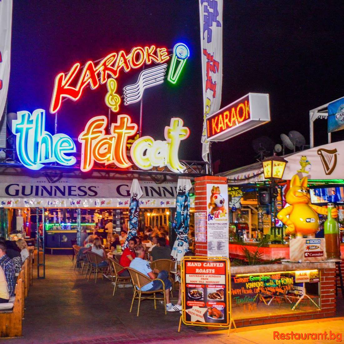 THE FAT CAT by Night