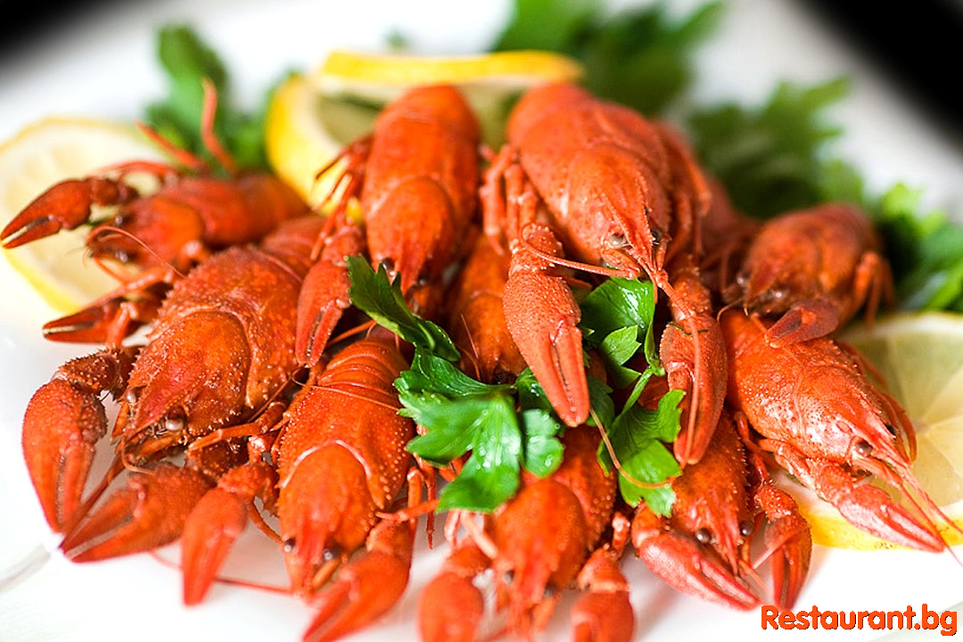 Seafood PLAKAMOTO