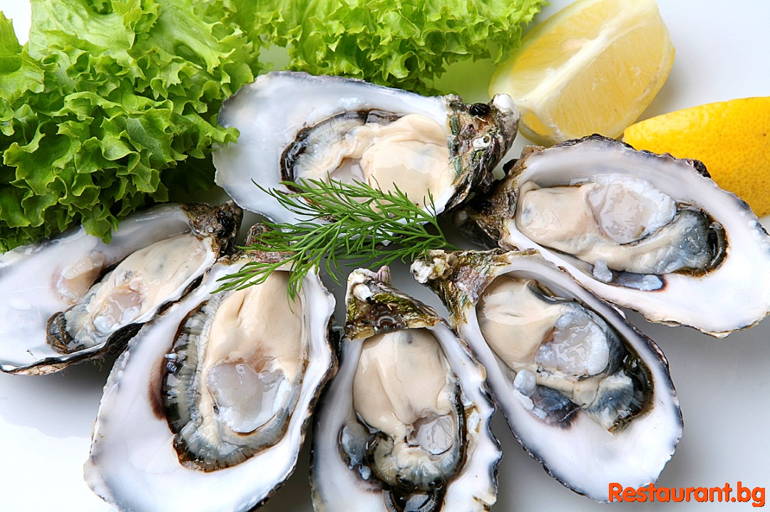 Seafood PLAKAMOTO