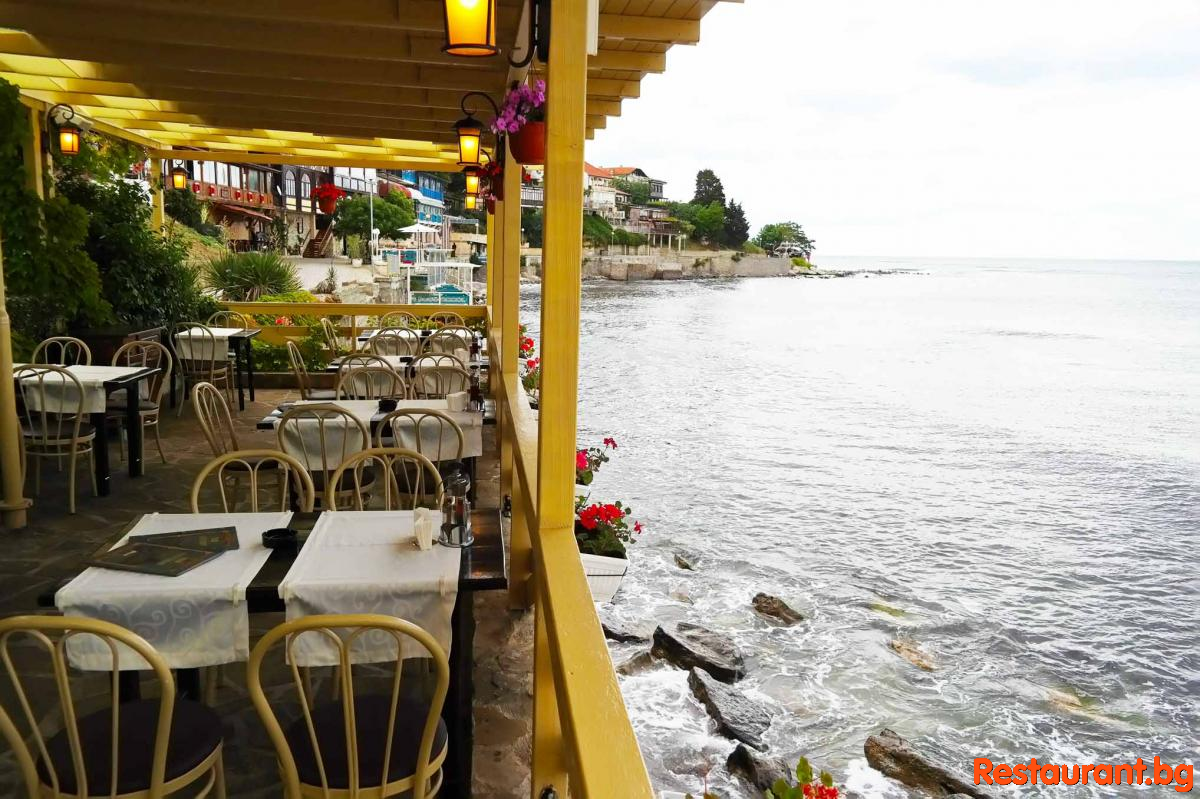 Sea TERRASE
