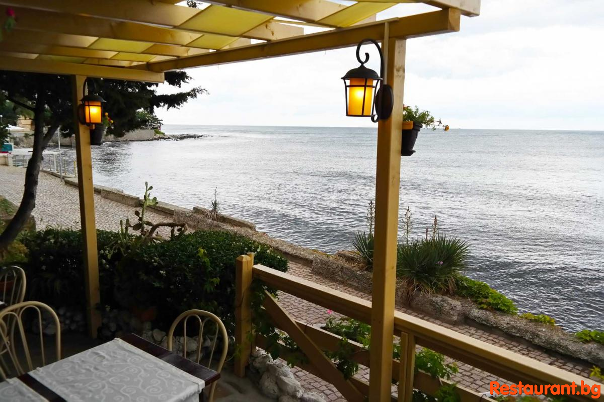 Sea TERRASE