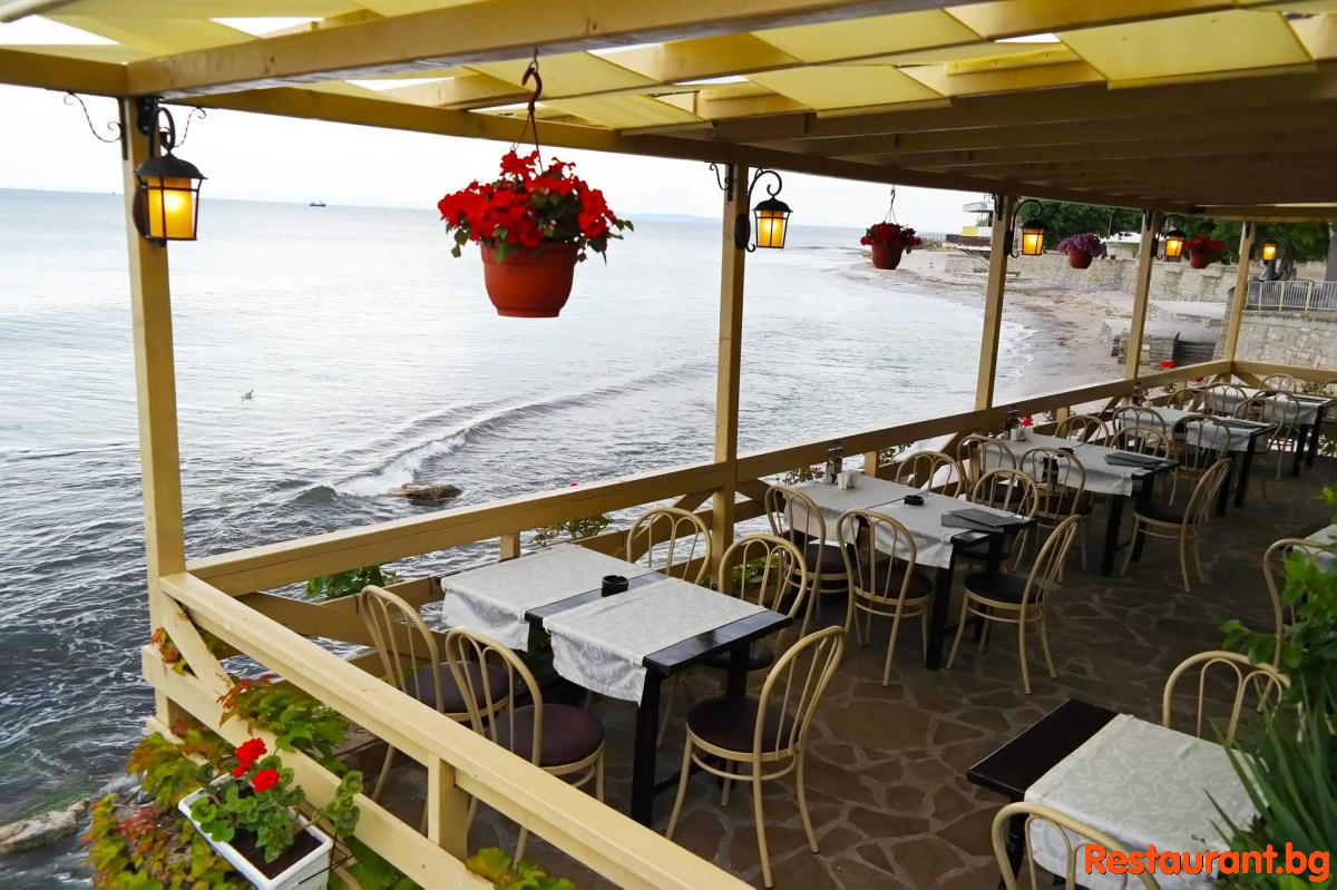 Sea TERRASE