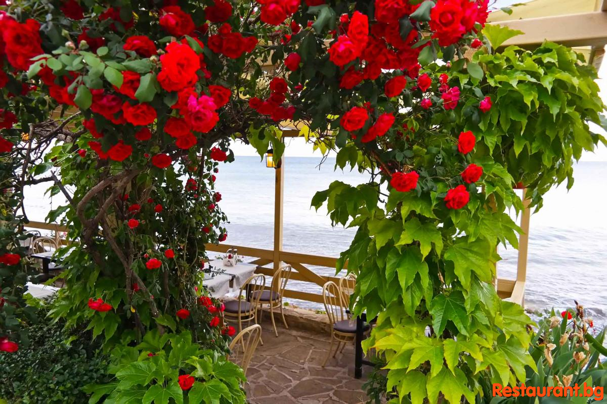 Sea TERRASE