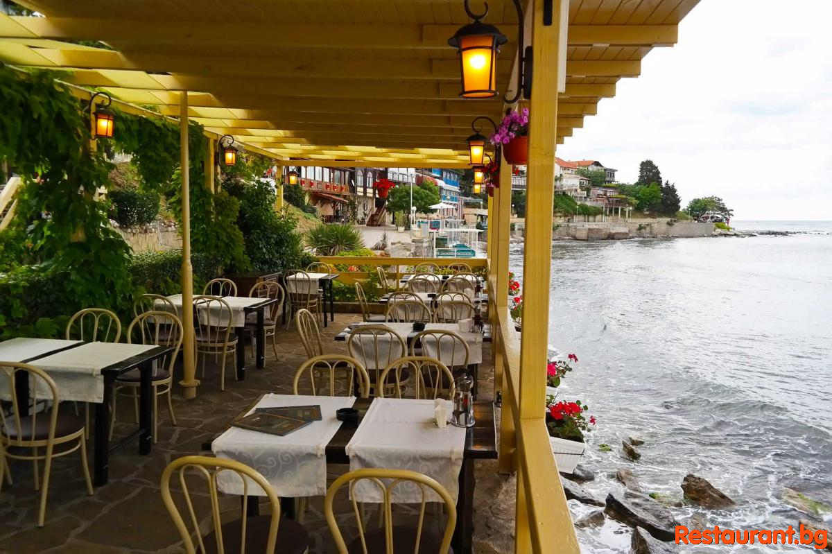 Sea TERRASE