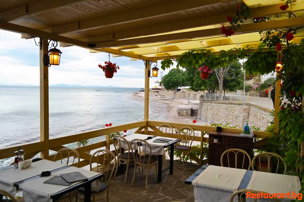Sea TERRASE