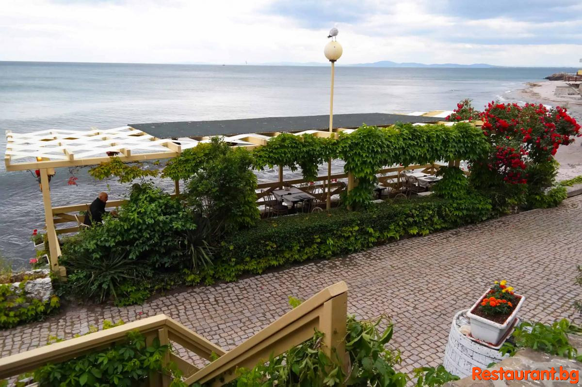 Sea TERRASE