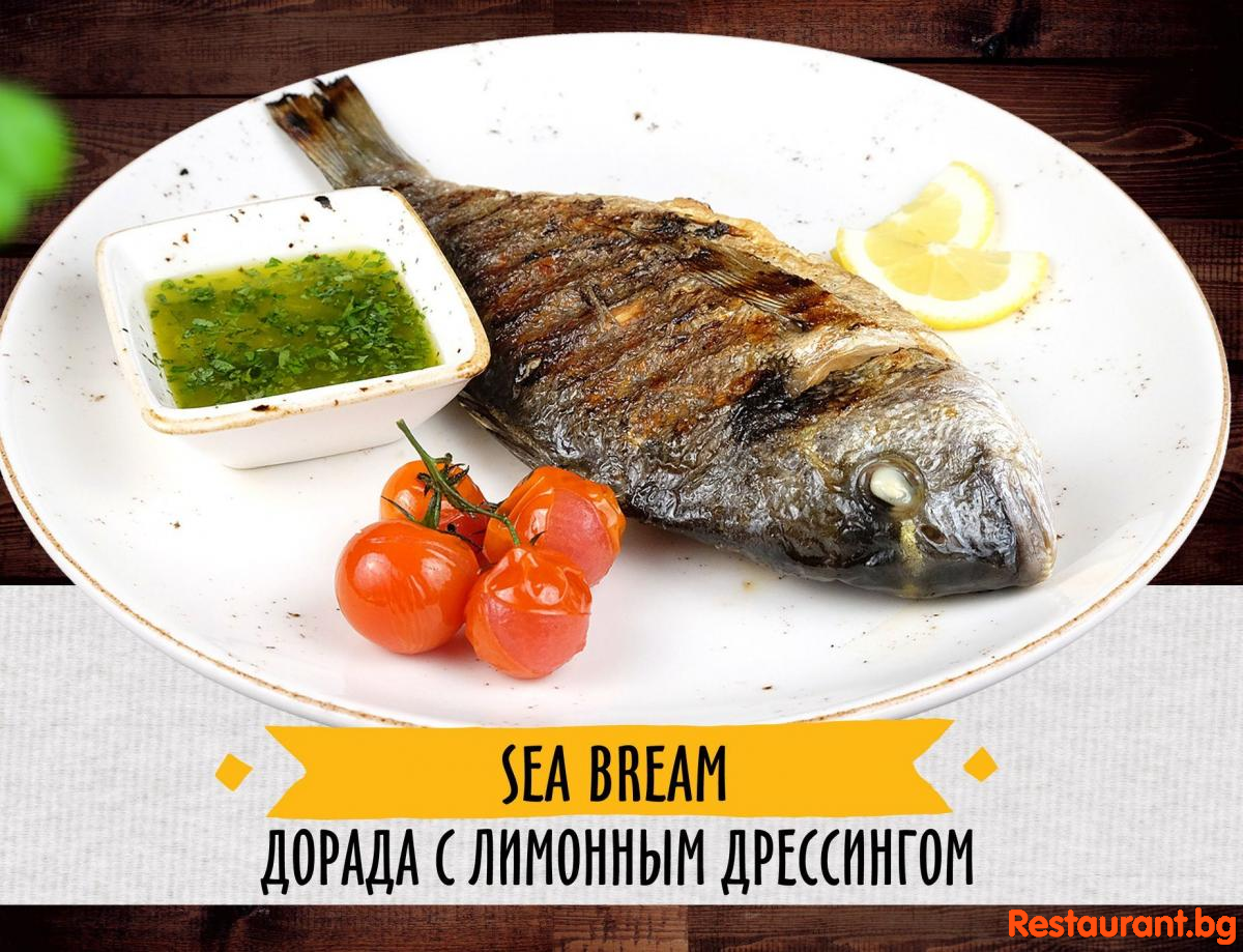 Fish & Seafood