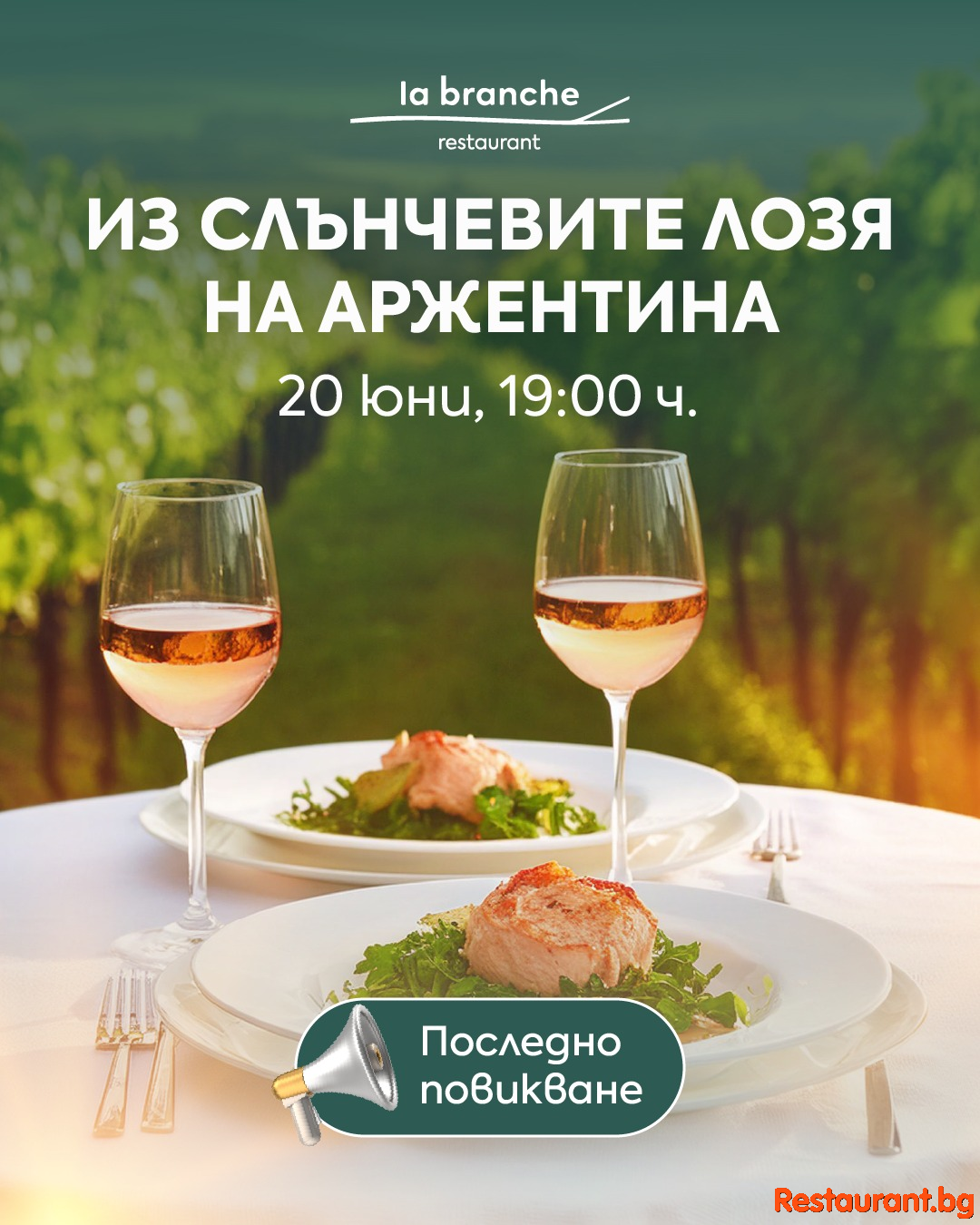 Из слънчевите лозя на Аржентина ! Из слънчевите лозя на Аржентина !