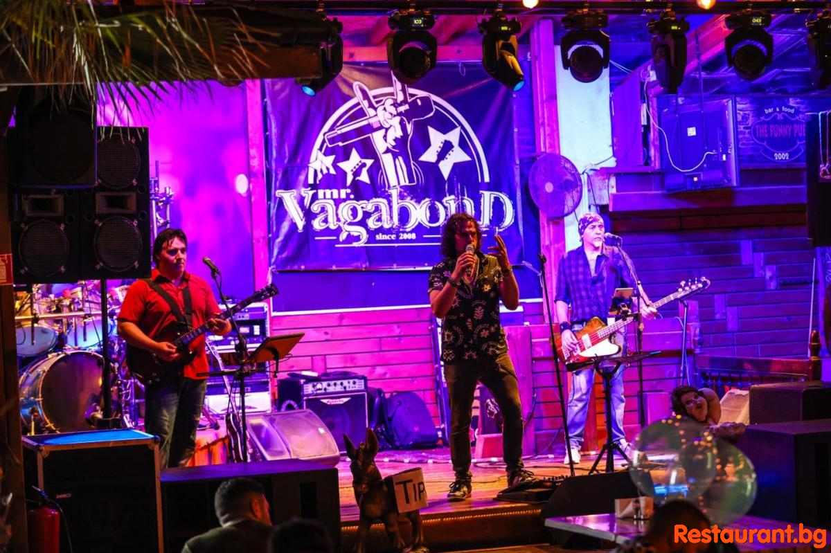 Live Music