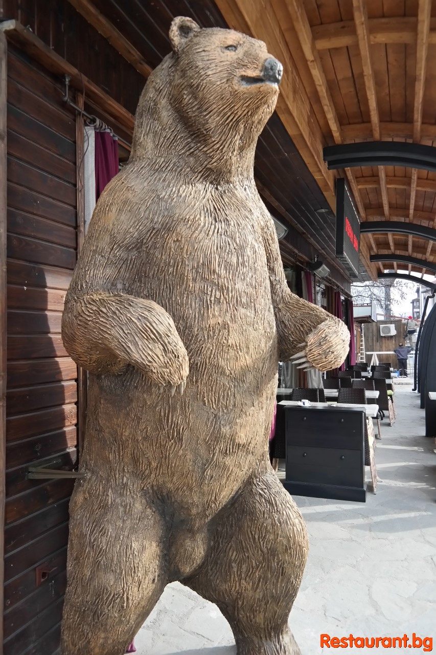 Interior THE BEARS