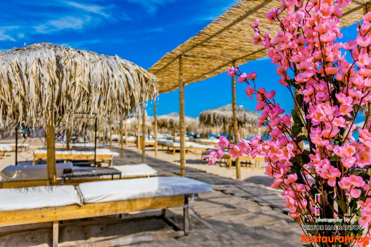 BAMBOO BEACH