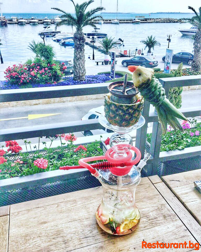 Shisha