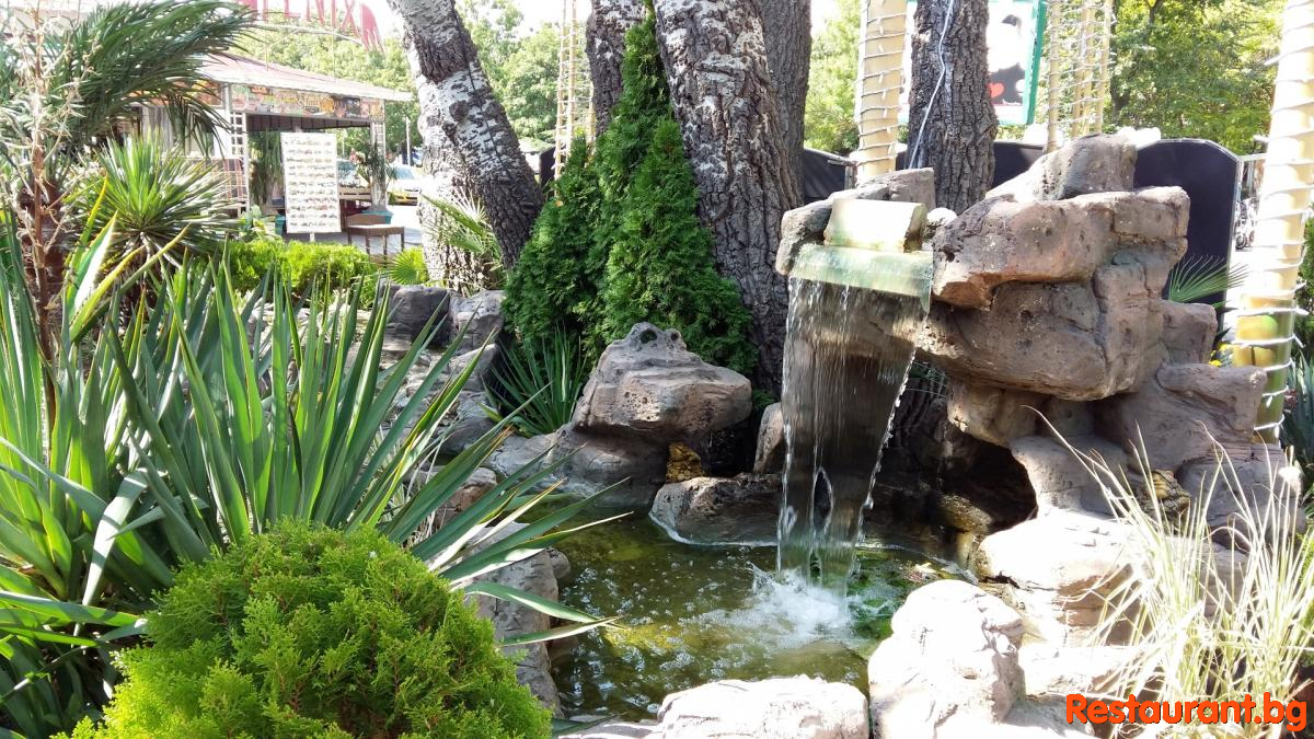 LAS PALMAS Garden