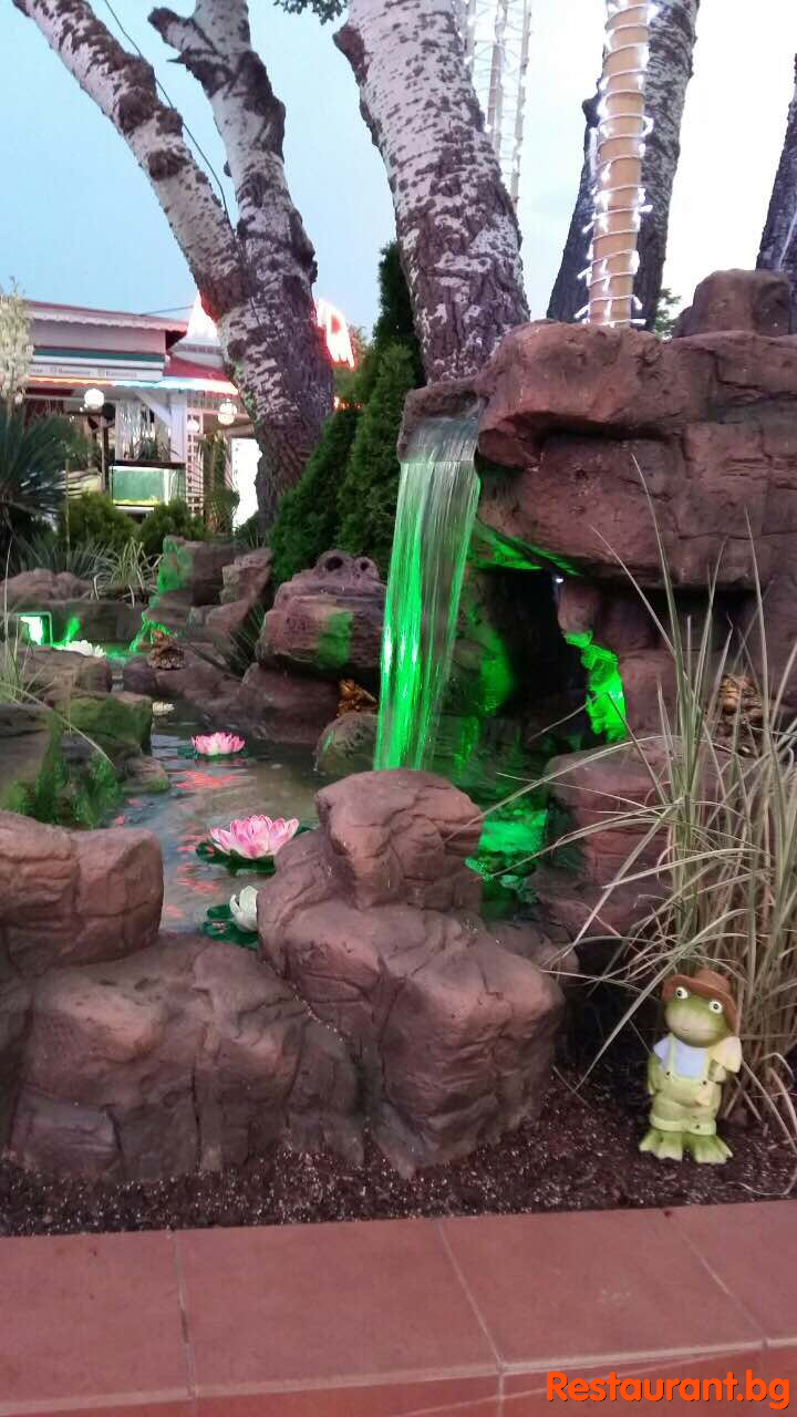 LAS PALMAS Garden