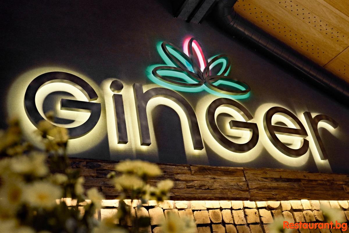 GINGER Bansko Interior