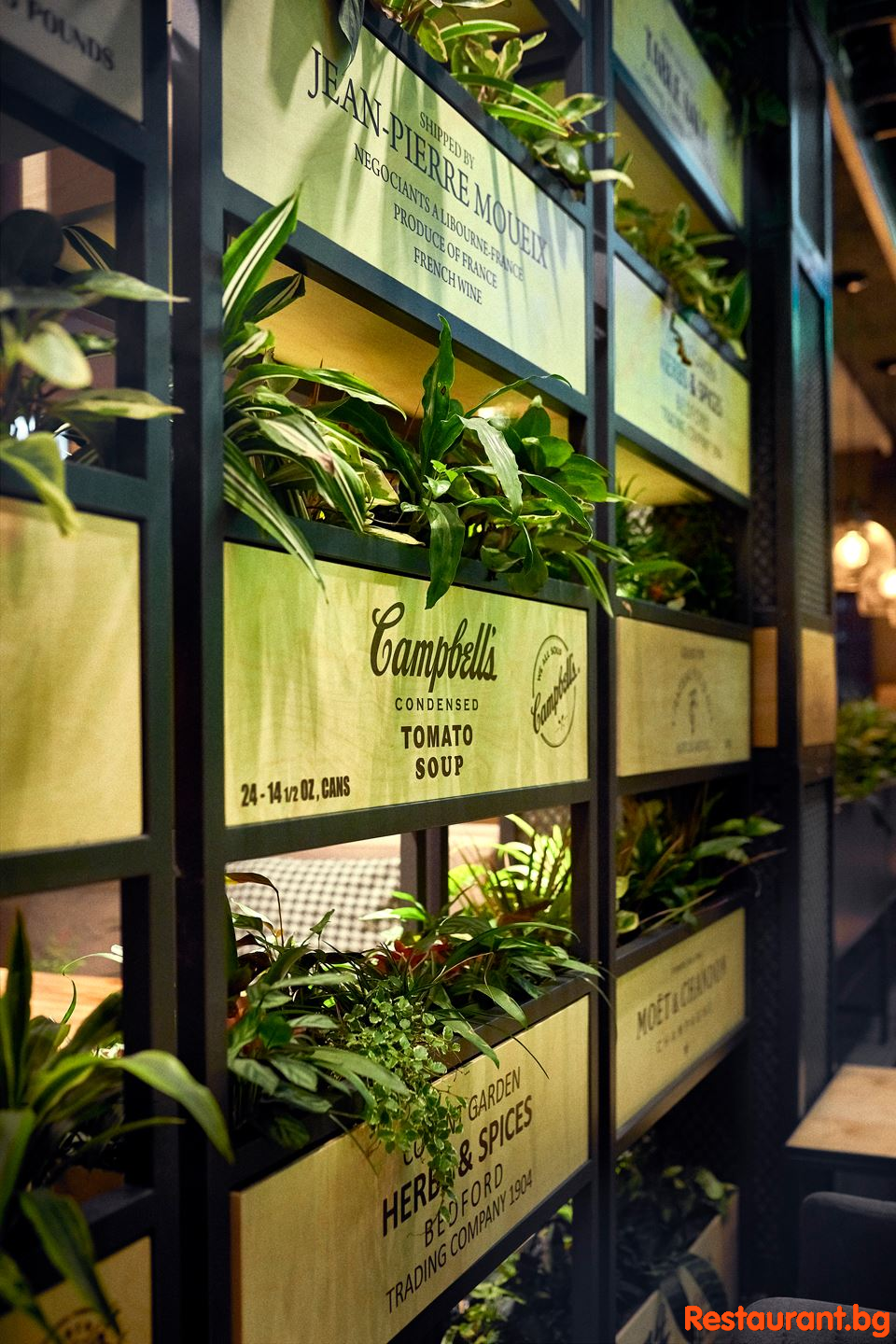 GINGER Bansko Interior