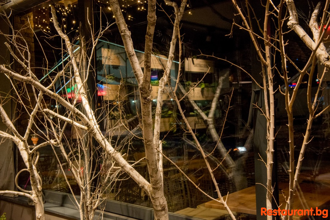 Bar & Dinner GINGER Bansko