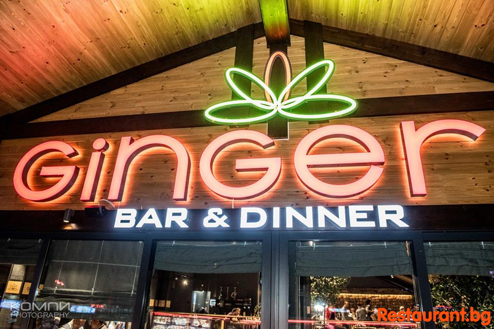 Live Music at GINGER Bansko