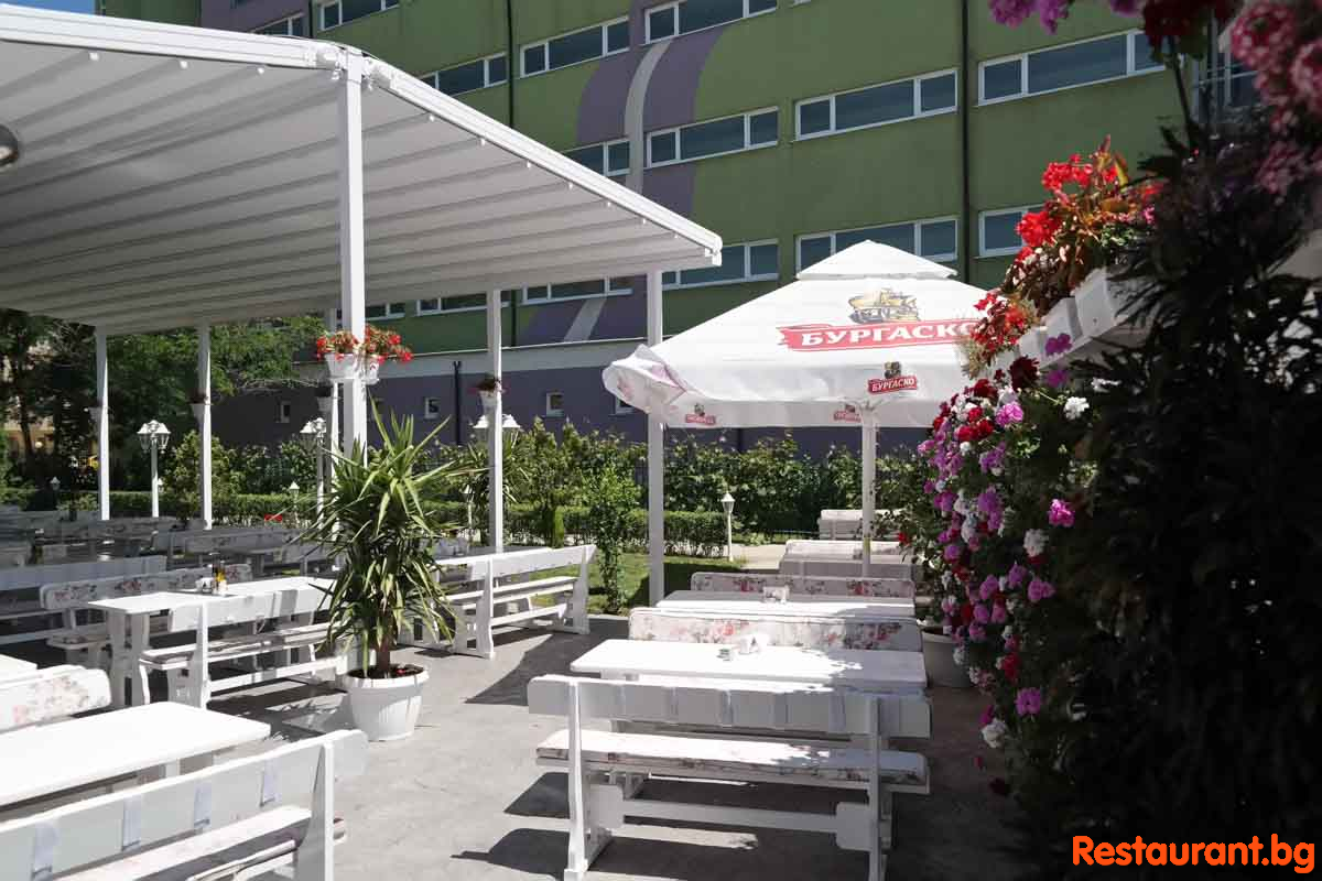 New Summer Garden 2020
