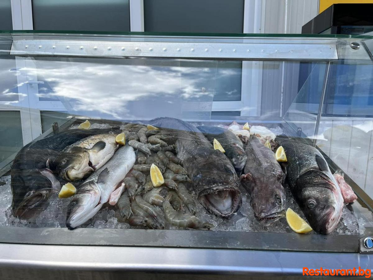 Always Fresh Fish !