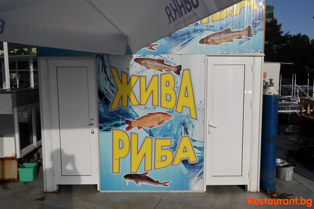 Жива Риба и Раци