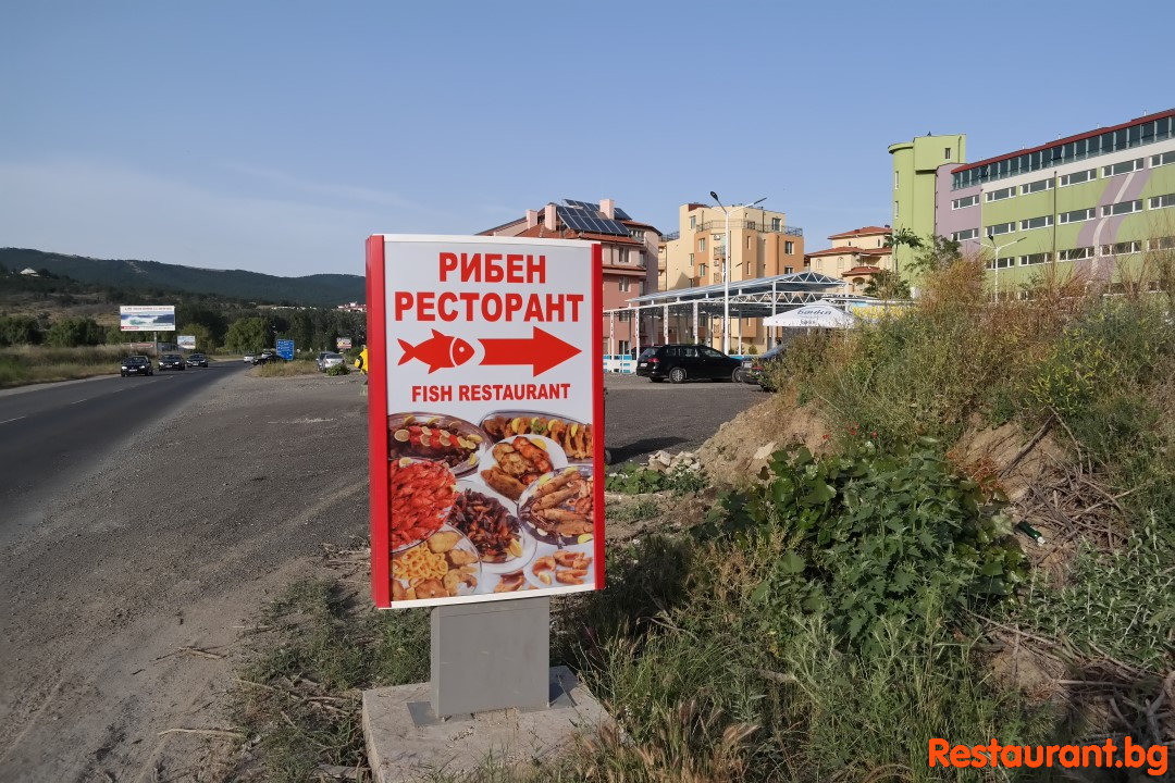 Жива Риба "РИБЕН РЕСТОРАНТ" Слънчев Бряг 