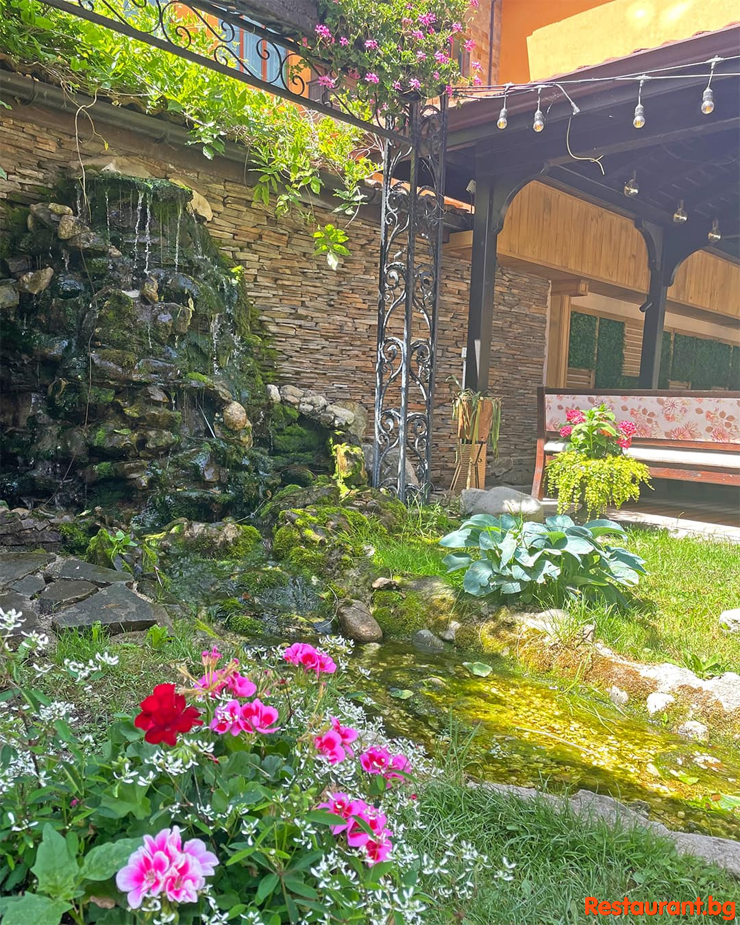 The Garden