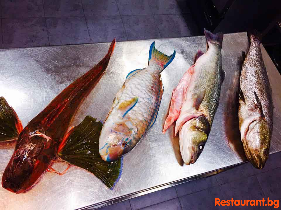 MYKONOS Plovdiv Fish
