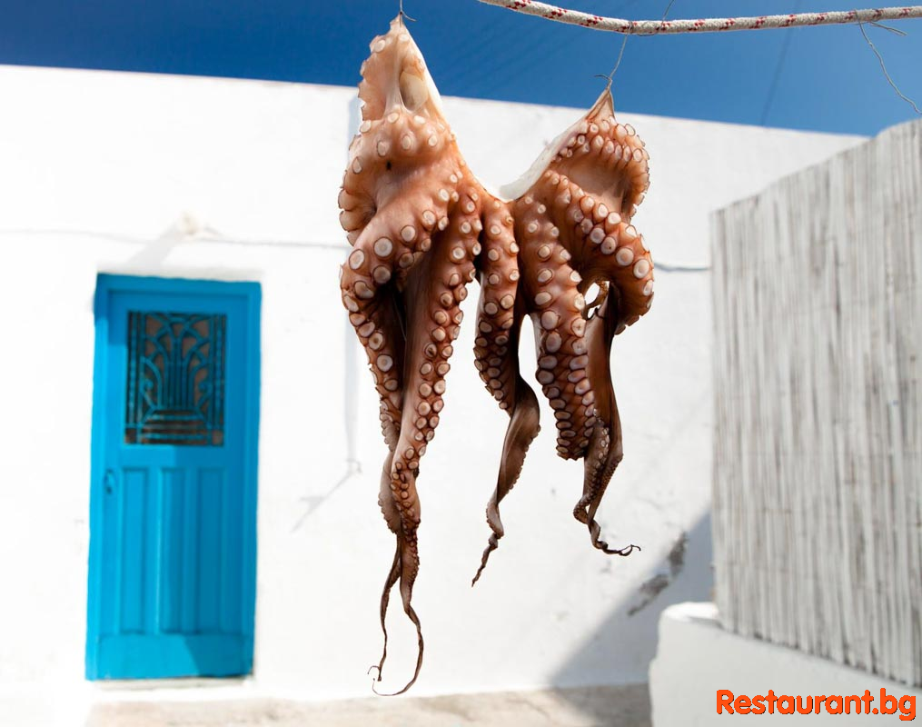 Fresh Fish !