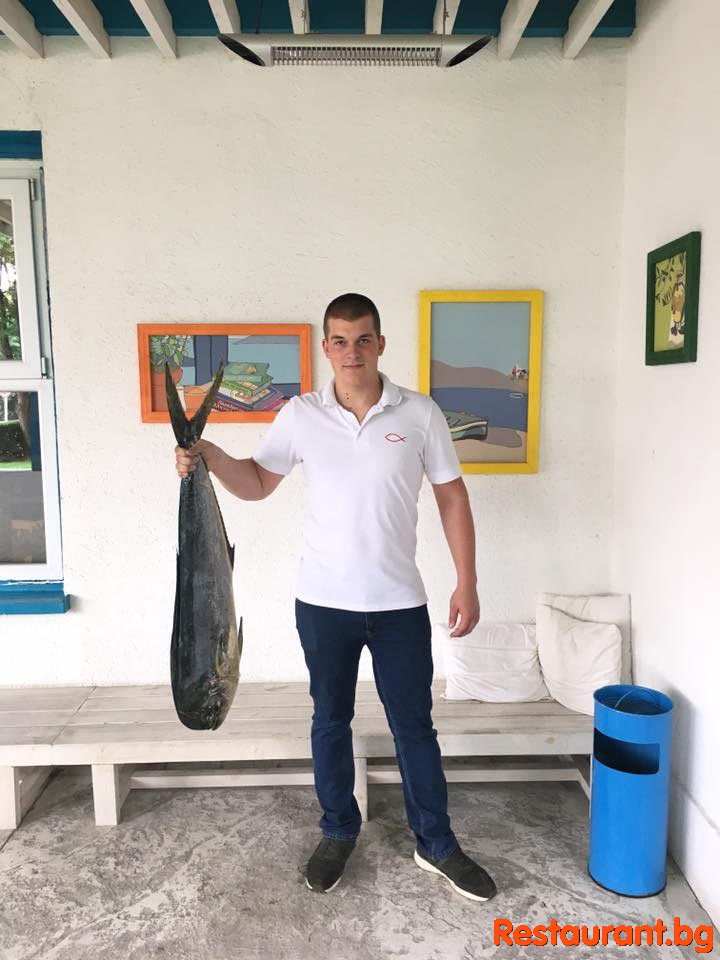 Fresh Fish !