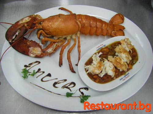 Menu ANVERS