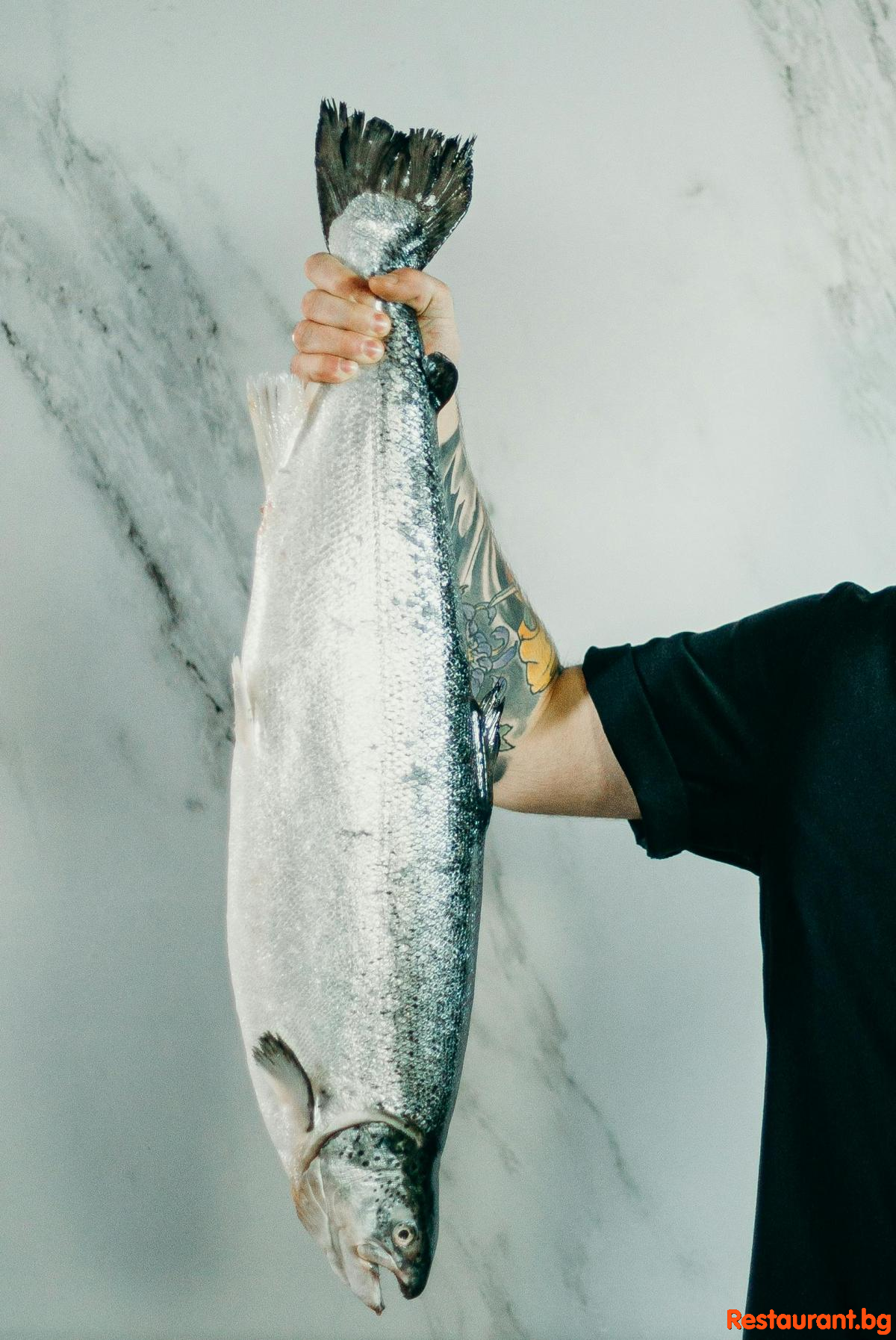 Always Fresh Fish !