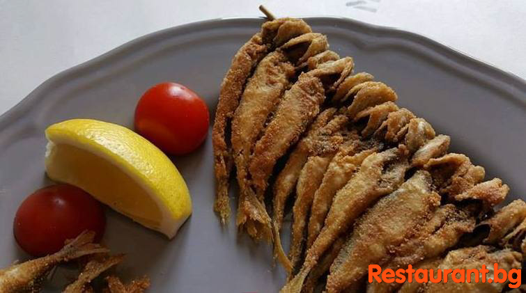 Fish & Seafood