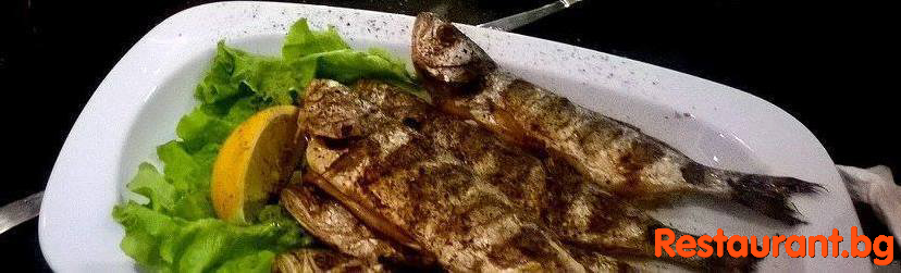 Fish & Seafood