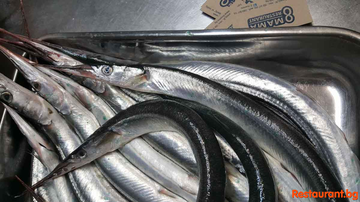 Fish & Seafood