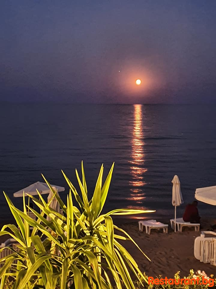 TALISMAN by Night