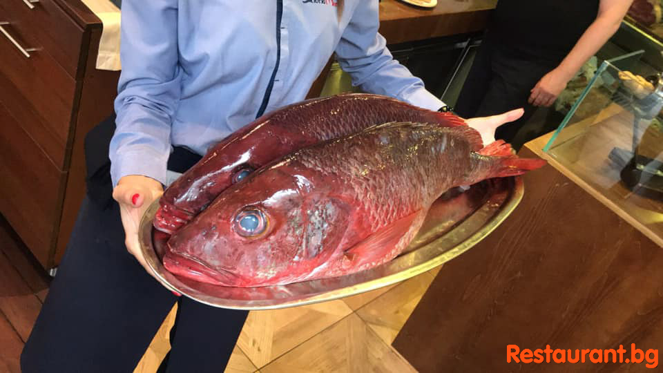Great Fresh Food !