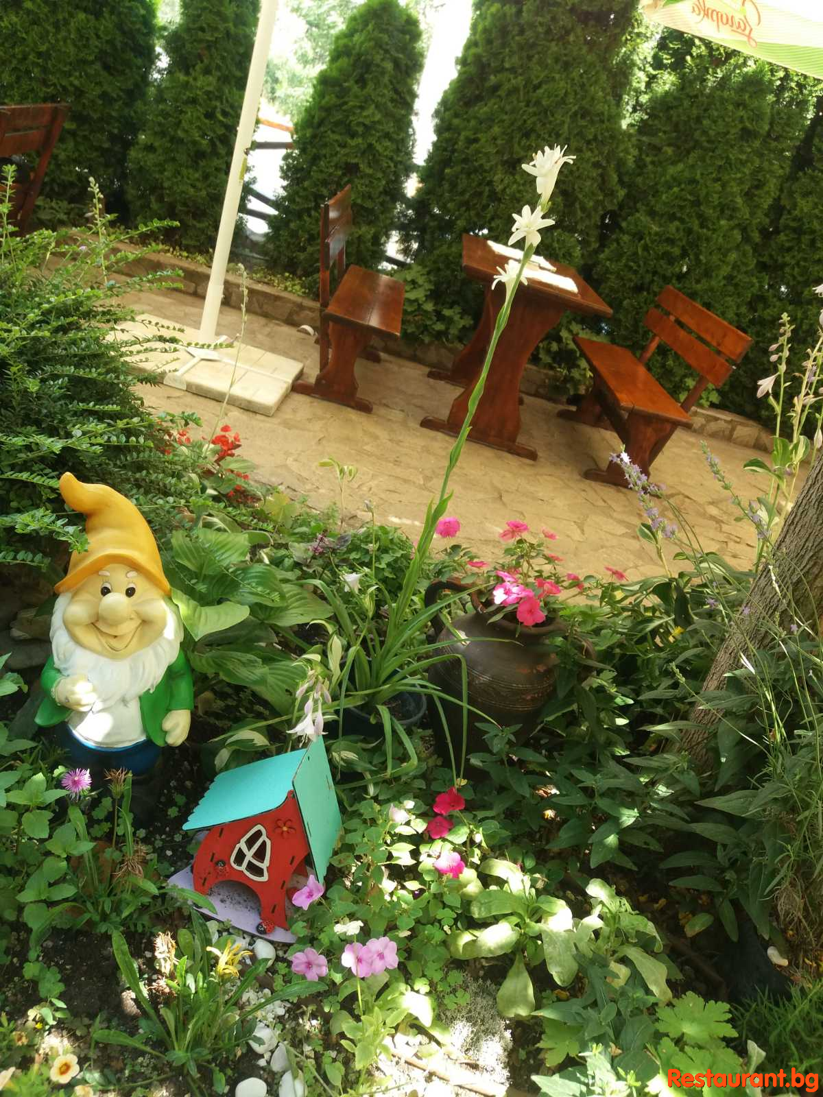 AVENUE Garden