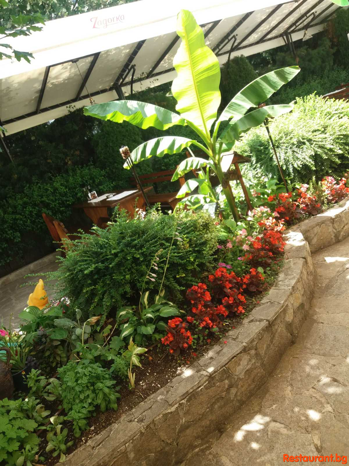 AVENUE Garden