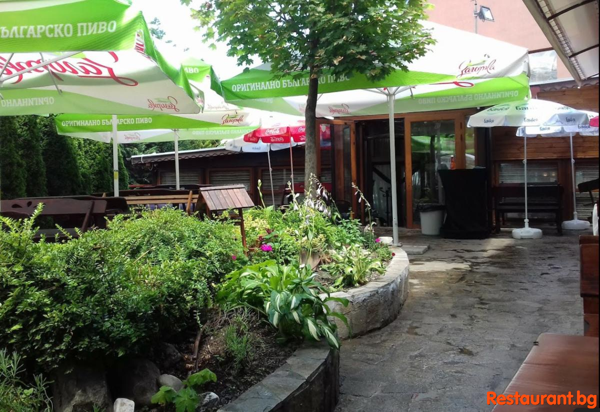 AVENUE Garden