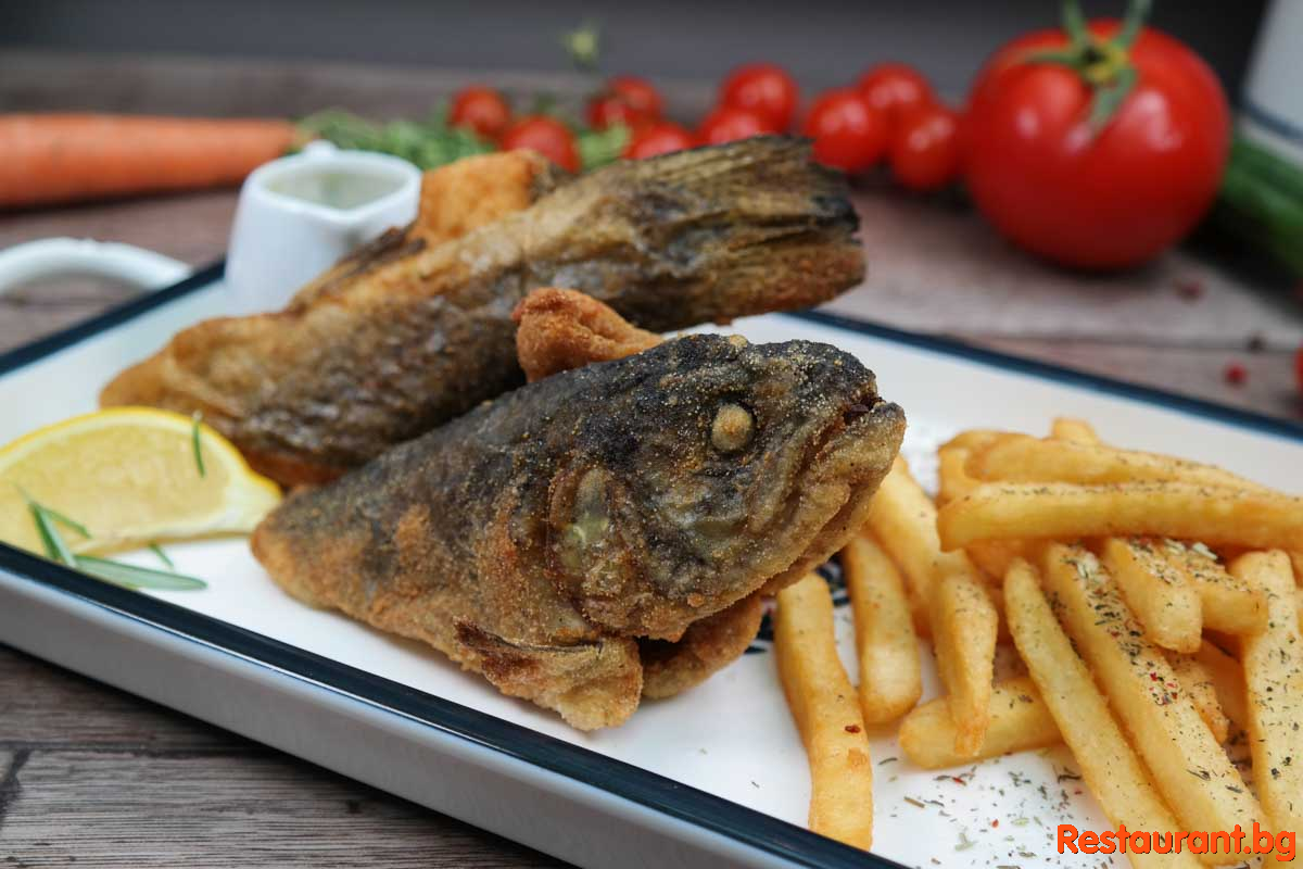 Fish & Seafood