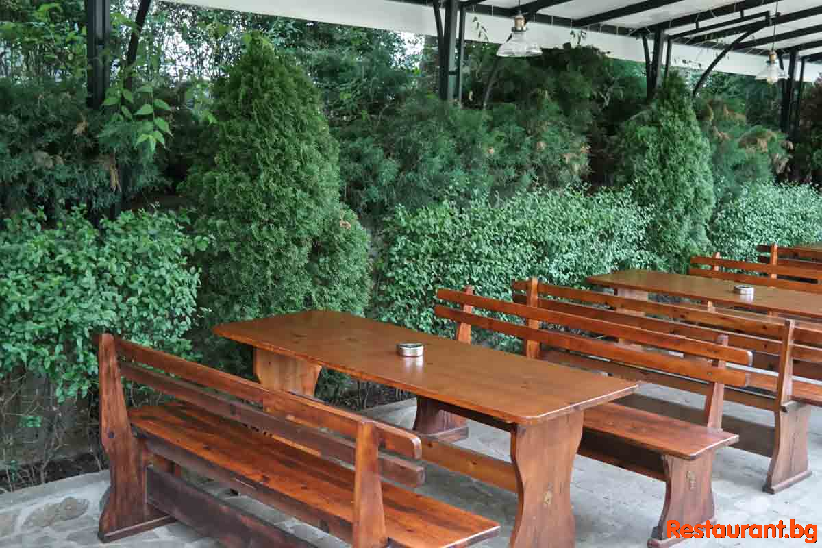 AVENUE Garden