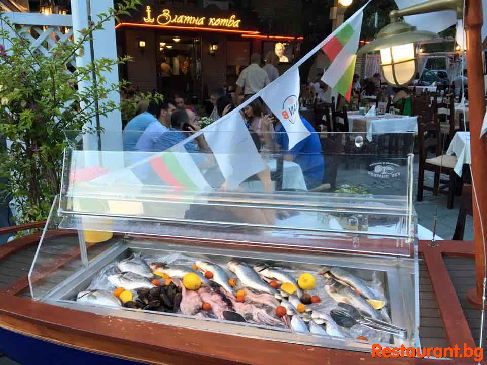 Fresh Fish