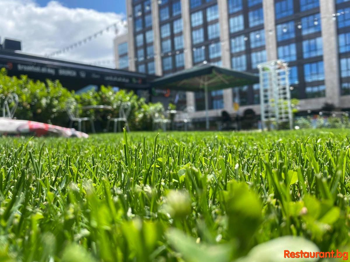TASTE Garden