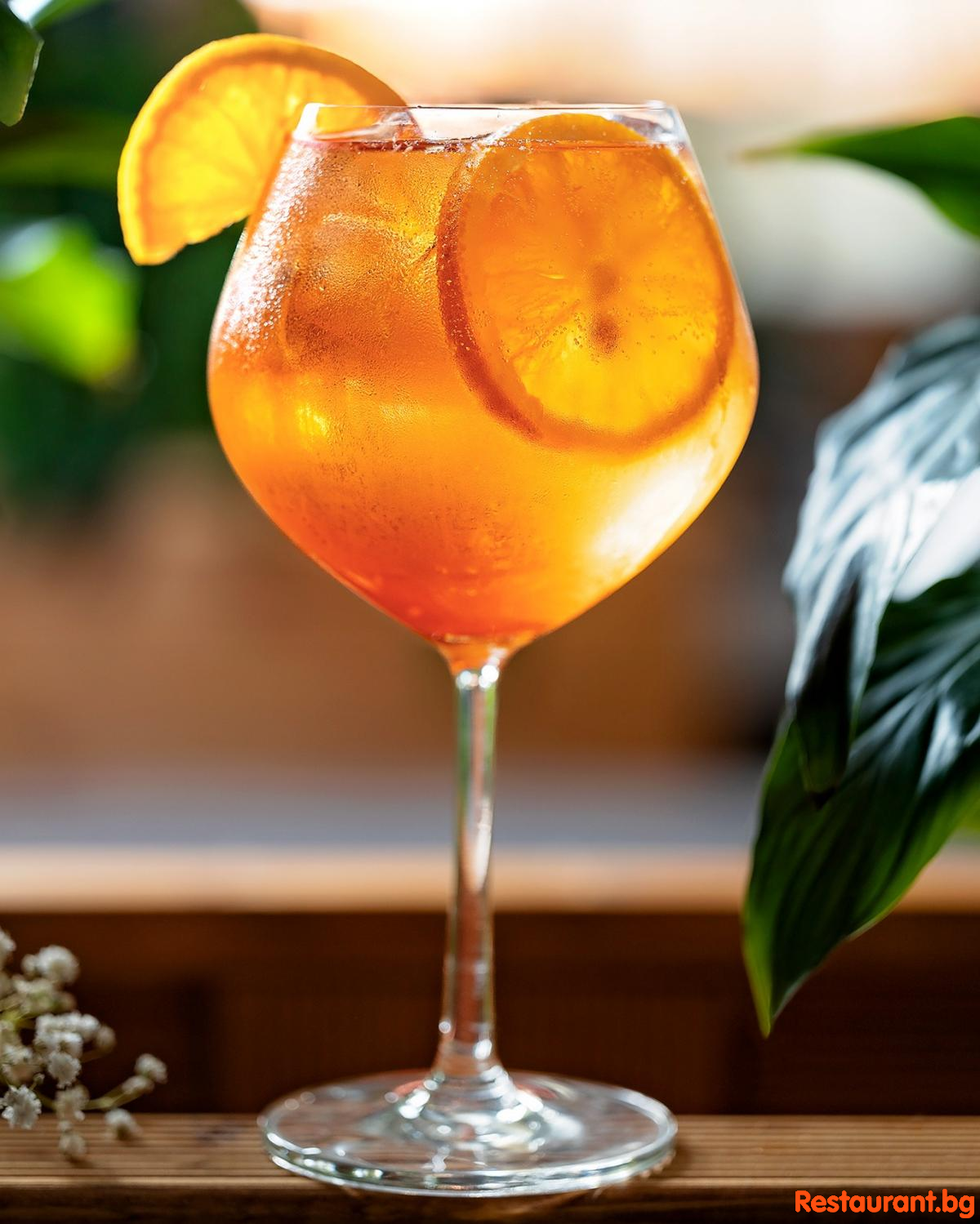 Top Cocktails