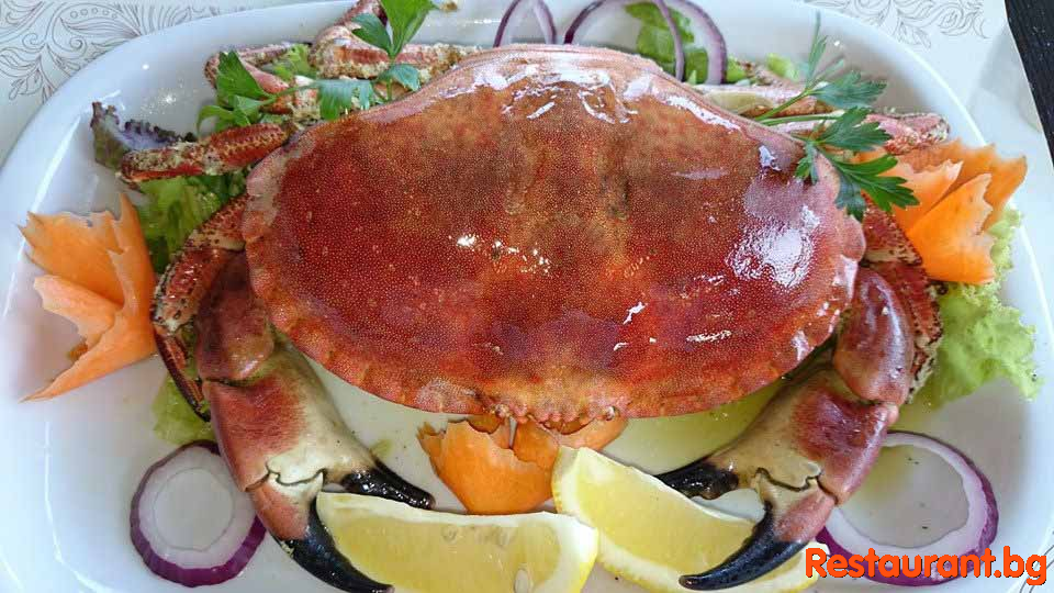 Great FOOD !